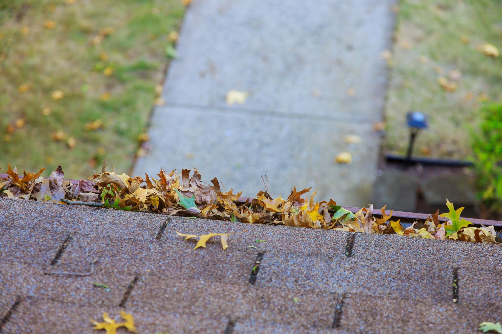 Solar Panel Cleaning Services
